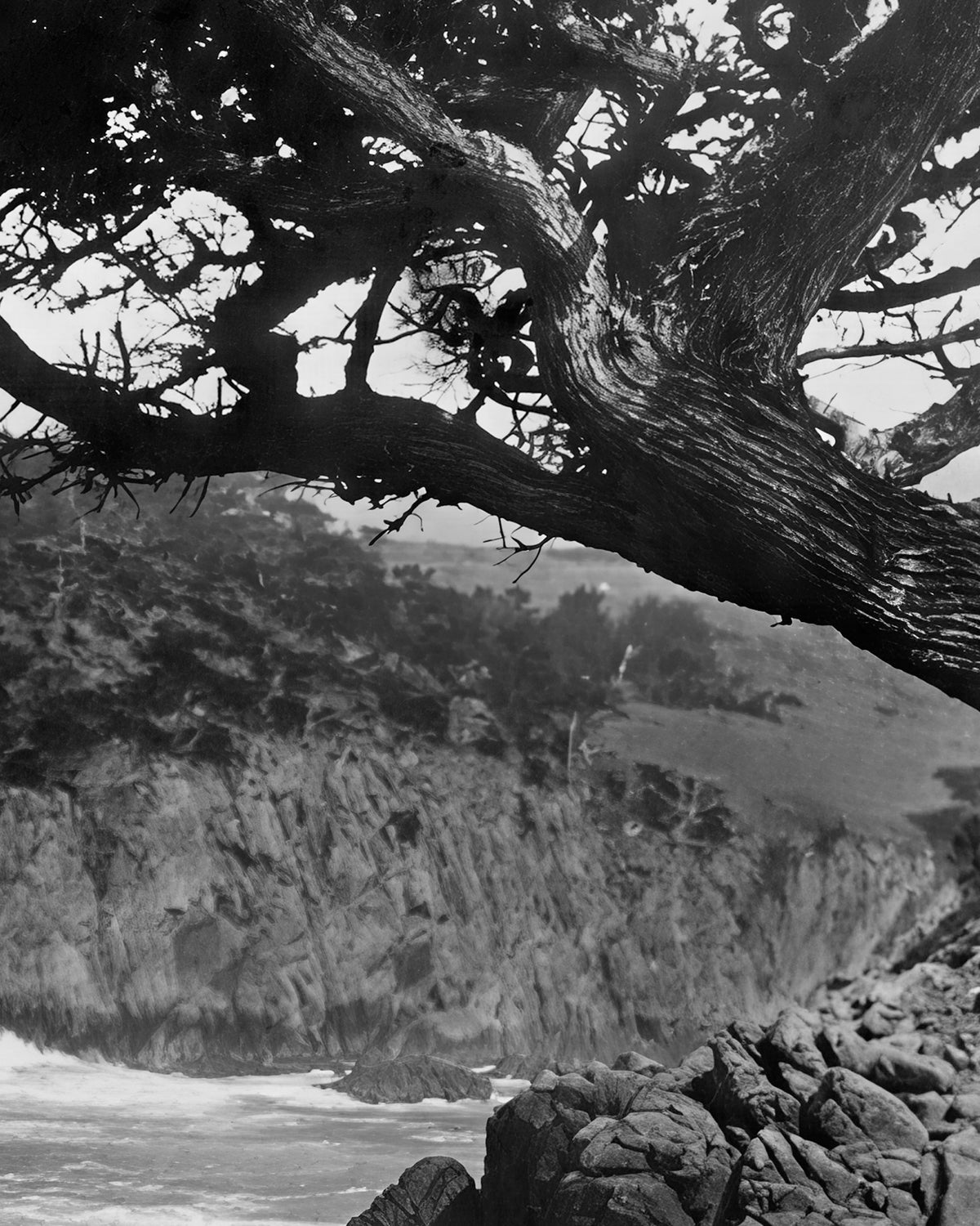 Near Carmel 1929