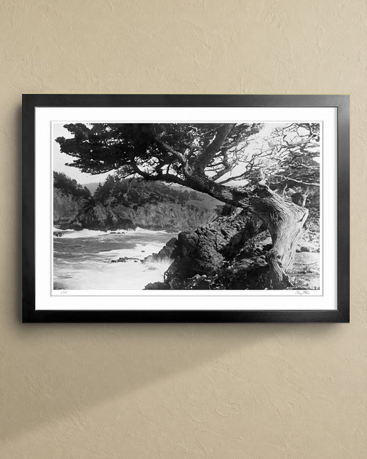 Near Carmel 1929