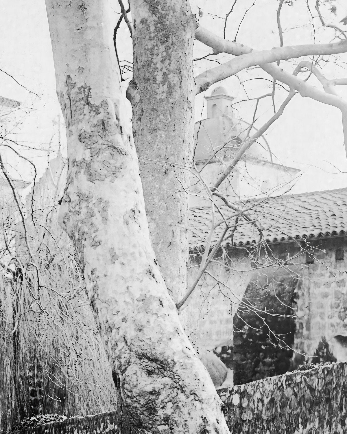 Santa Barbara 1914